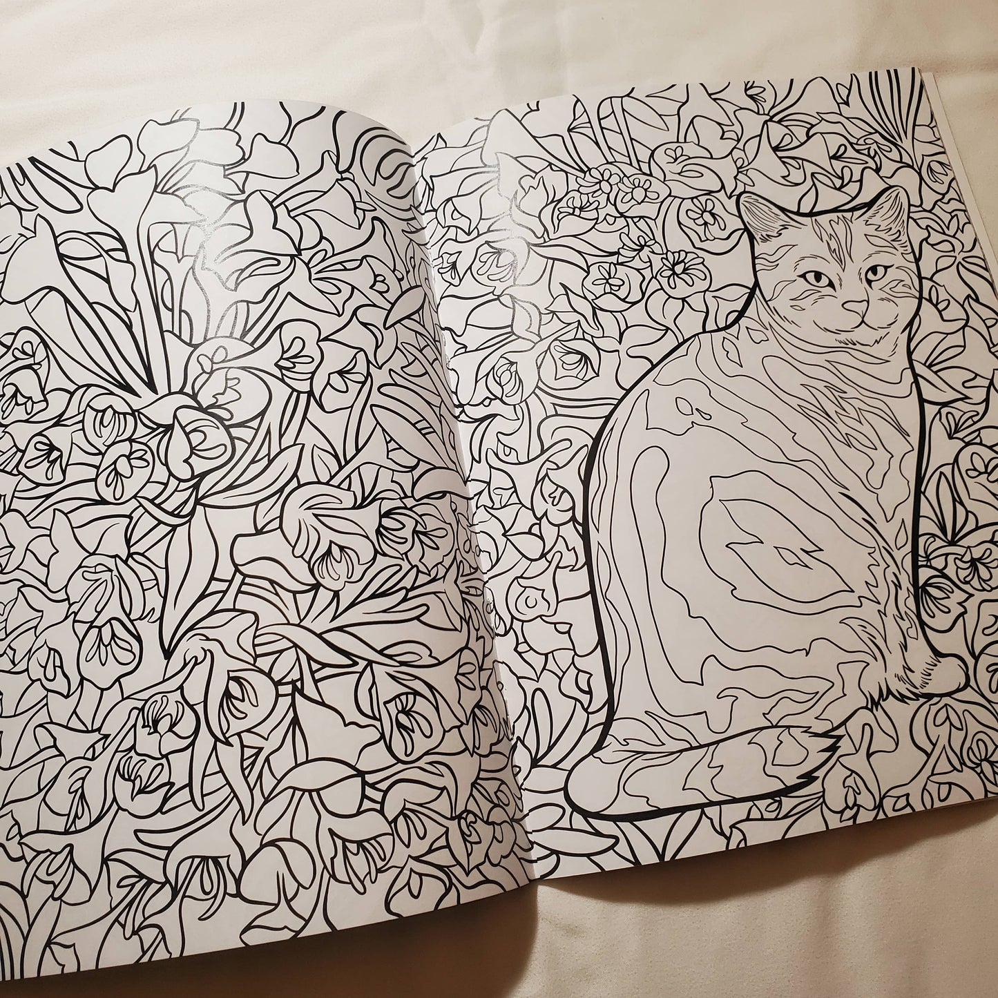 Cats & Plants, Colouring Book