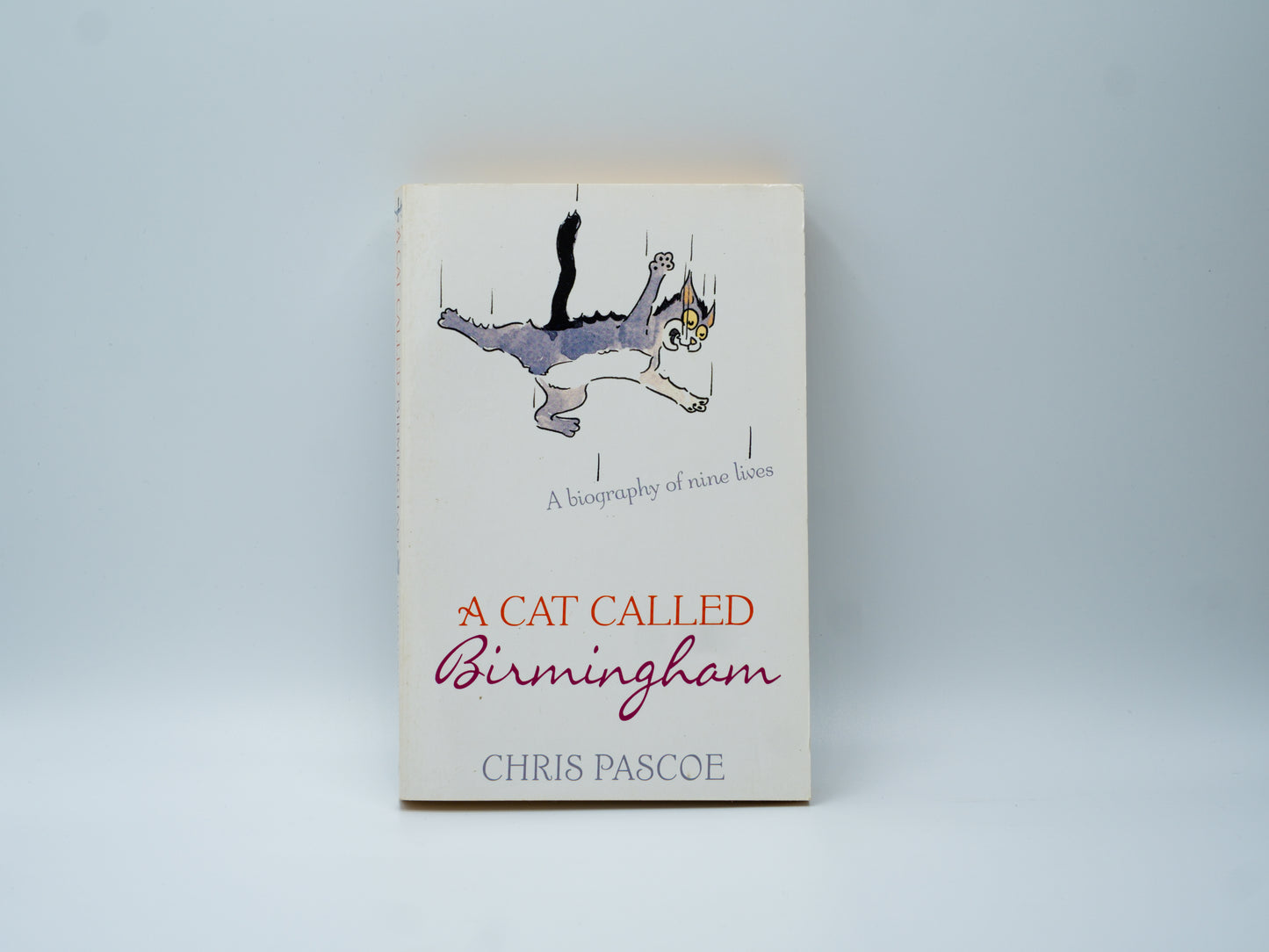 This image features the book "A Cat Called Birmingham" by Chris Pascoe. The cover displays a whimsical illustration of a cat in flight, overlaying the title and author's name.