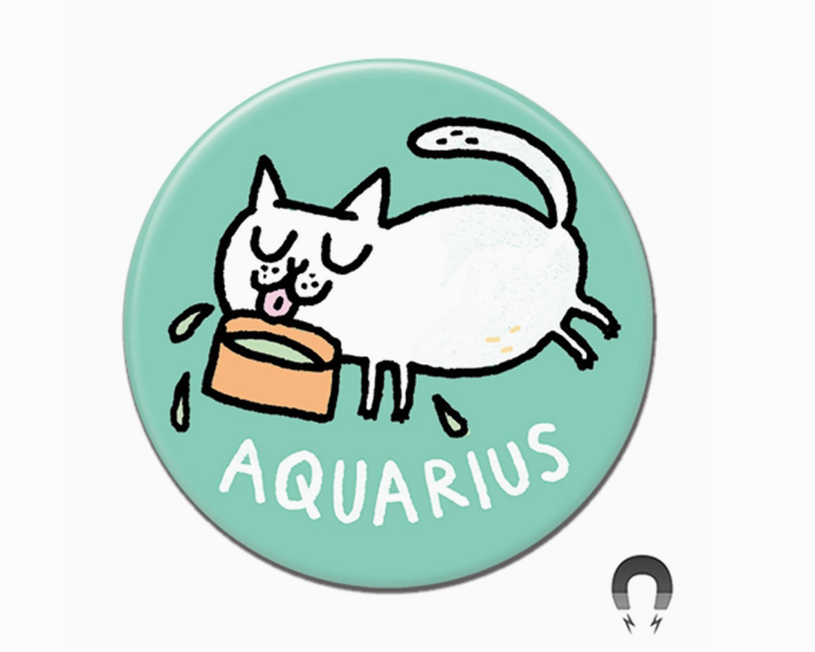 Aquarius Zodiac Fridge Magnet