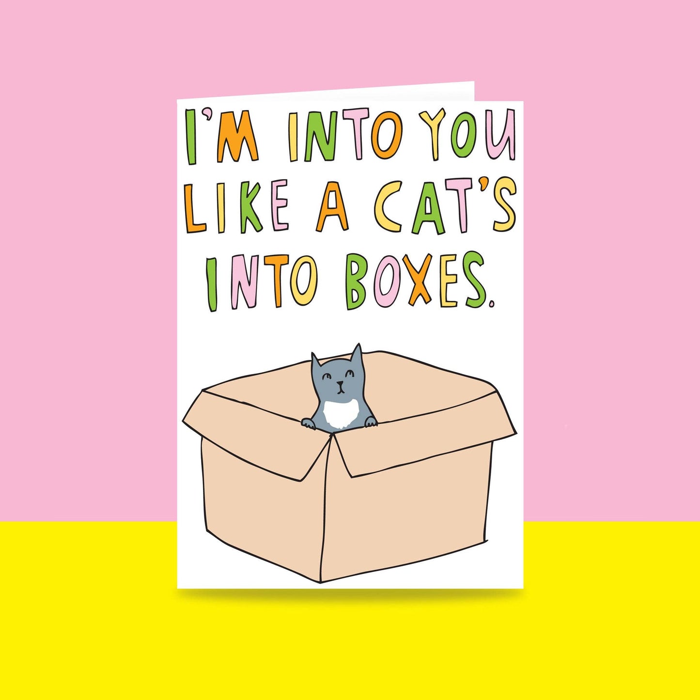 I'm Into You, Like A Cats Into Boxes - Greeting Card