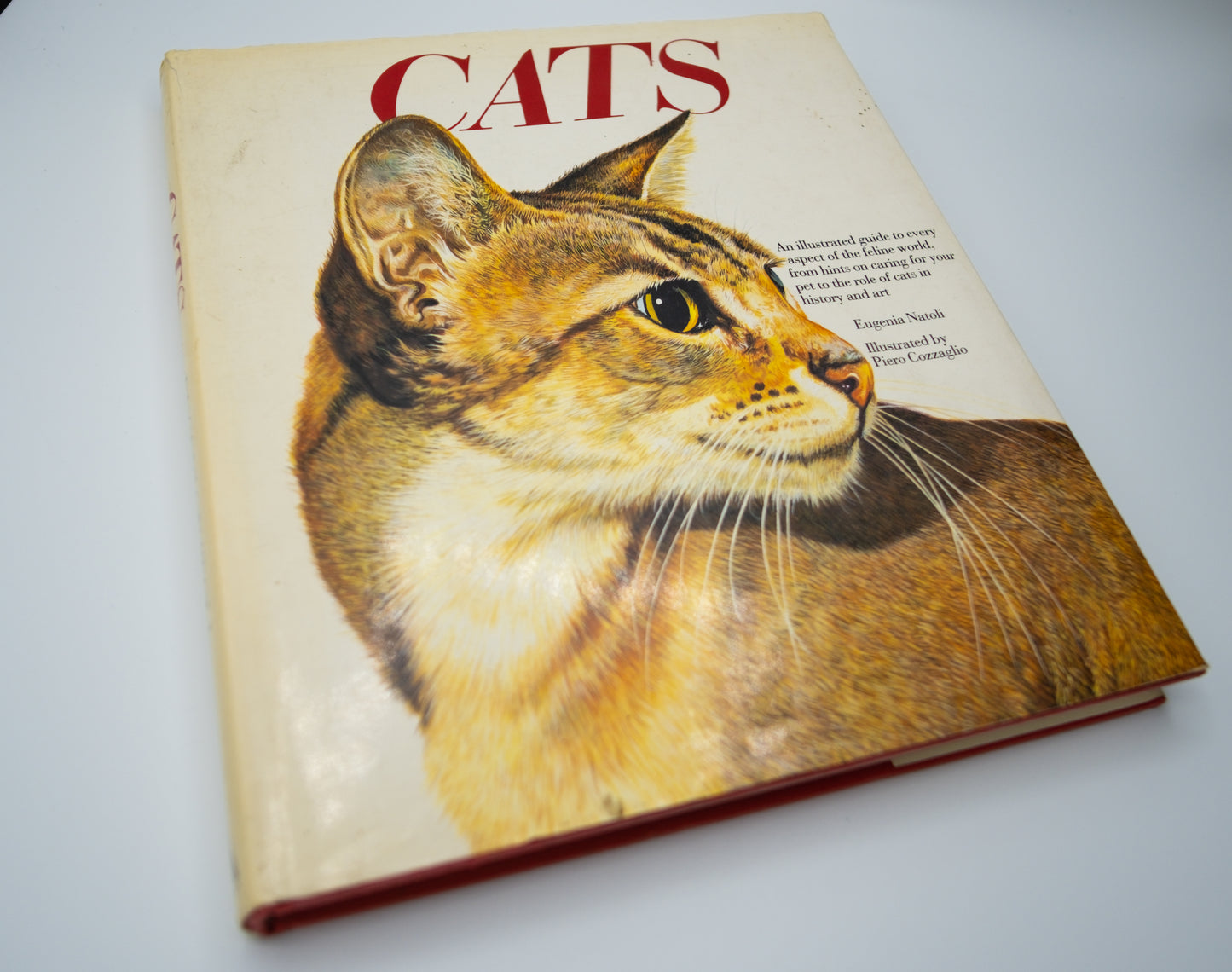 Hardback book on Cats