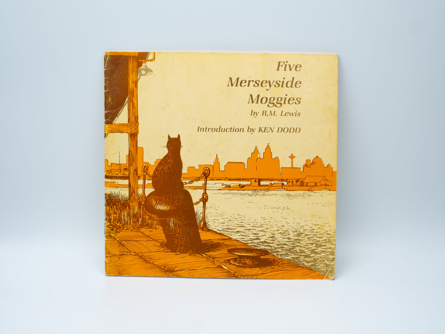 Five Merseyside Moggies