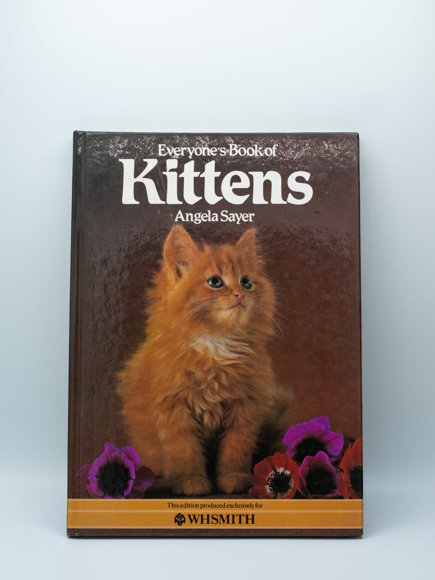 Everyone's Book of Kittens