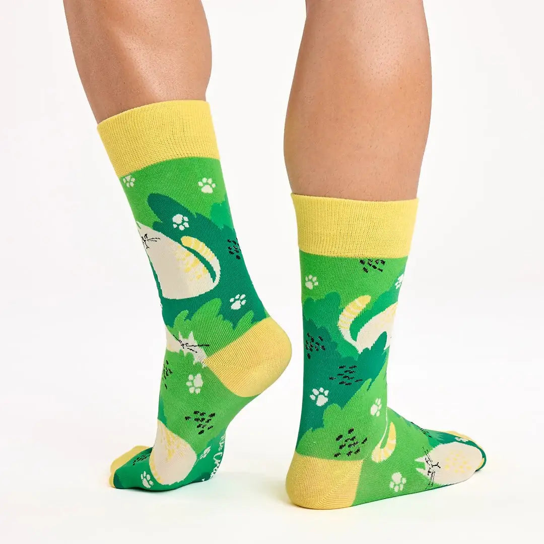 3 Pairs of Cat Socks in Cute Kitten Box
