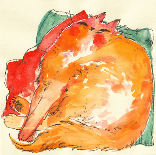 Print - "Comfy Cat"
