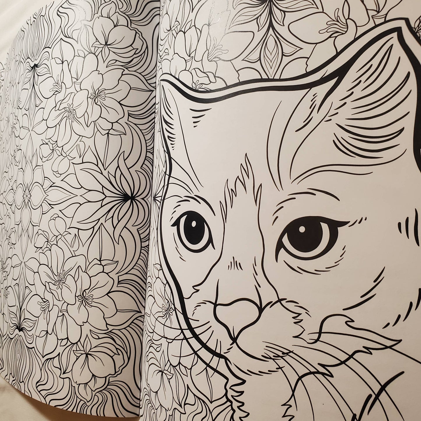 Cats & Plants, Colouring Book