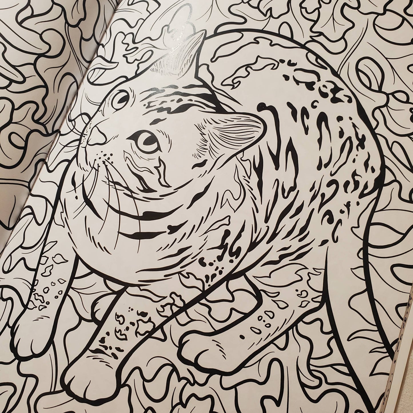 Cats & Plants, Colouring Book