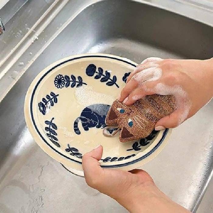 Cat Dish Sponge