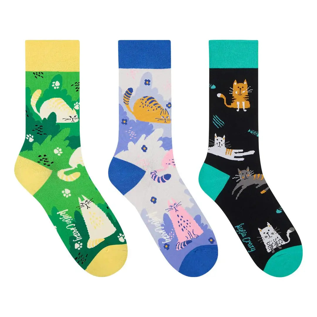 3 Pairs of Cat Socks in Cute Kitten Box