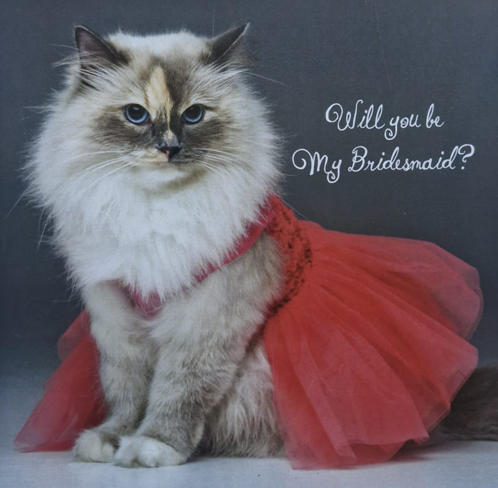 Will You Be My Bridesmaid?