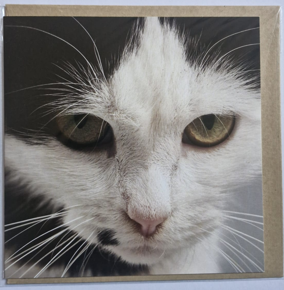 What's Another Year - Birthday Greeting Card