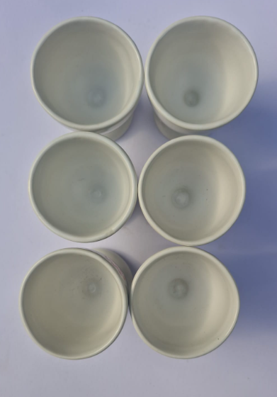 Vintage Staffordshire Pottery Breakfast Set