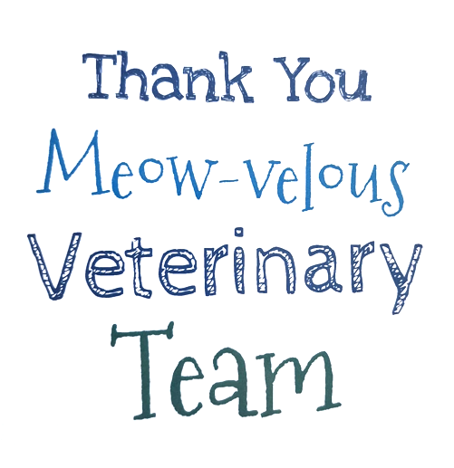 Vet Team Thank You Card