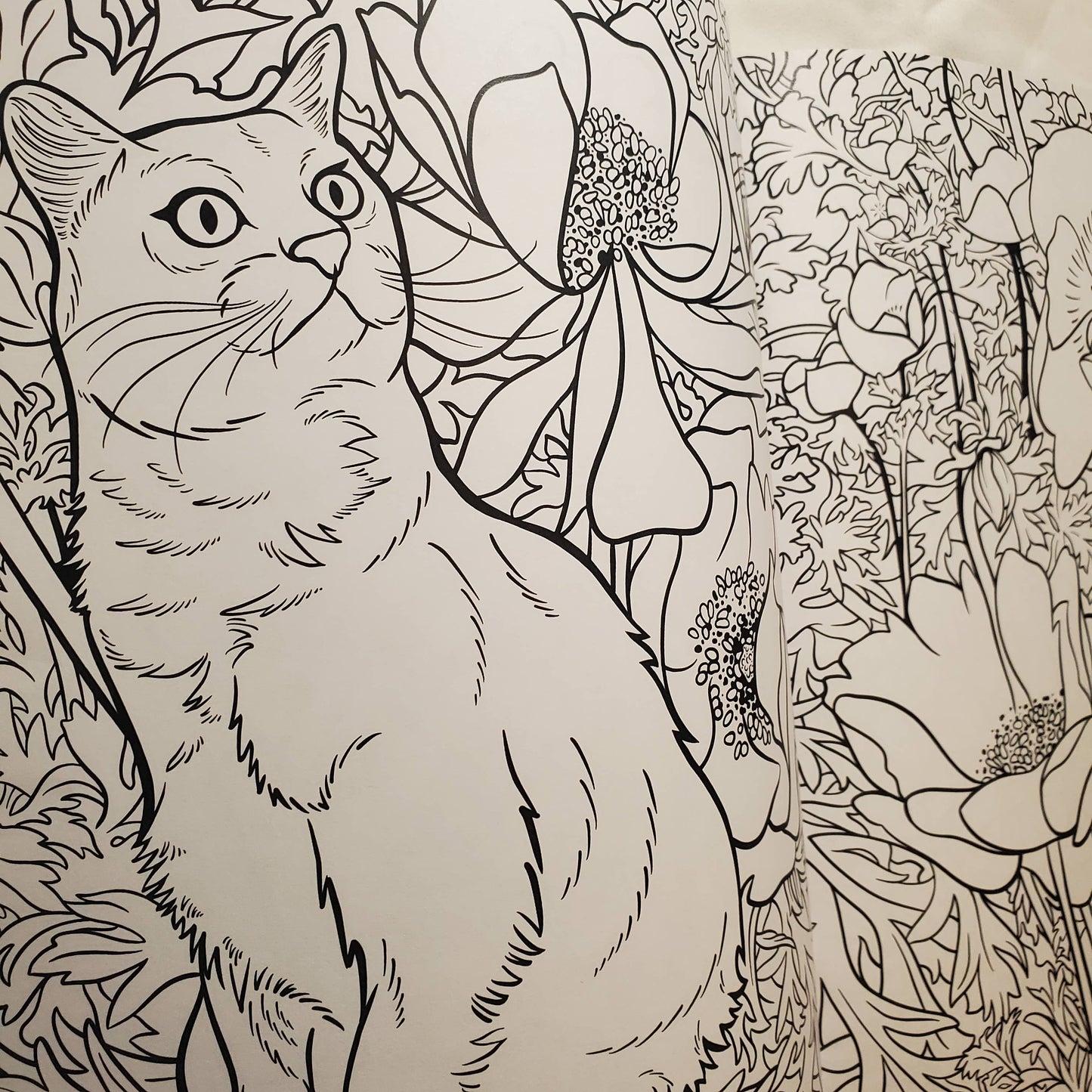 Cats & Plants, Colouring Book