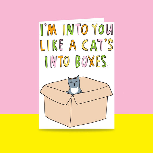 I'm Into You, Like A Cats Into Boxes - Greeting Card