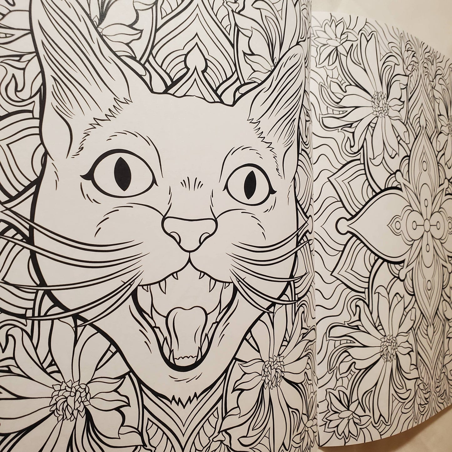 Cats & Plants, Colouring Book
