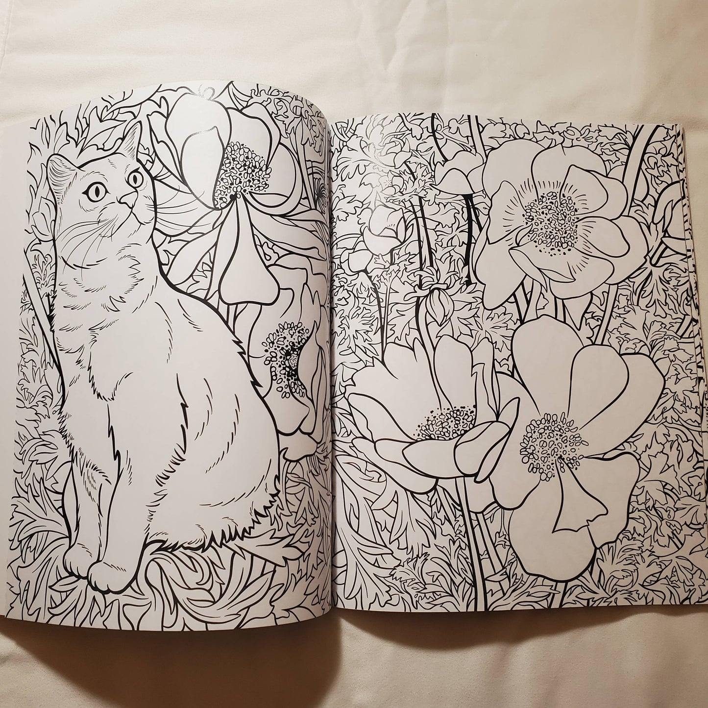 Cats & Plants, Colouring Book