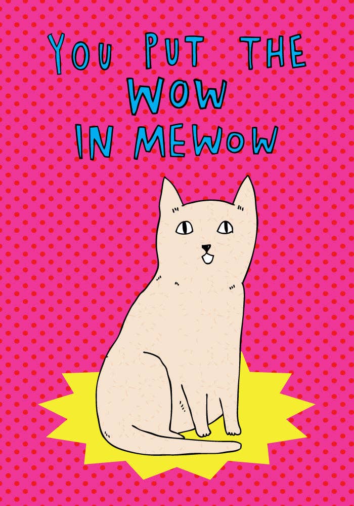 You Put The Wow In Mewow - Microfibre Glasses Cleaner