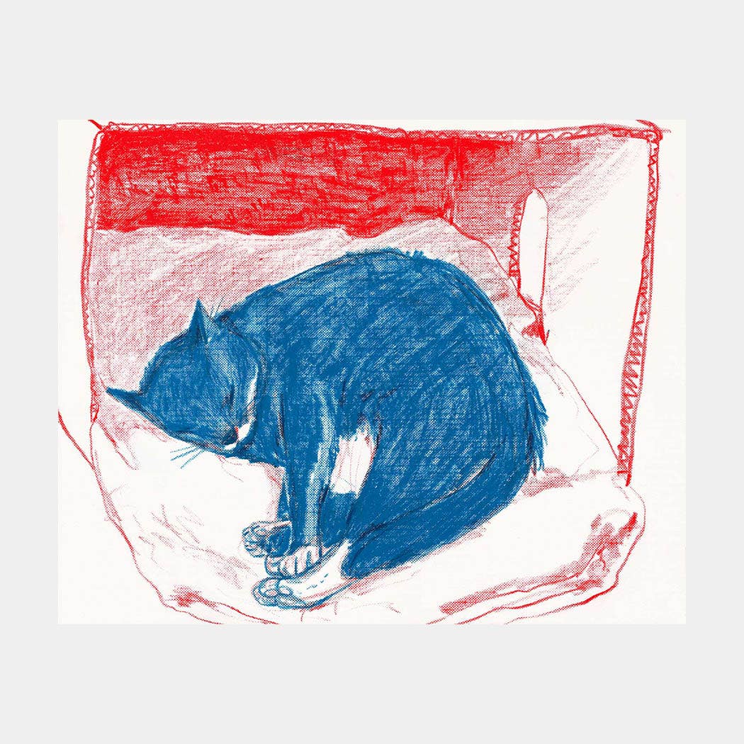 Print - "Pepper in His Box"